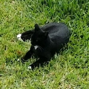 Meet your Posher, Roger